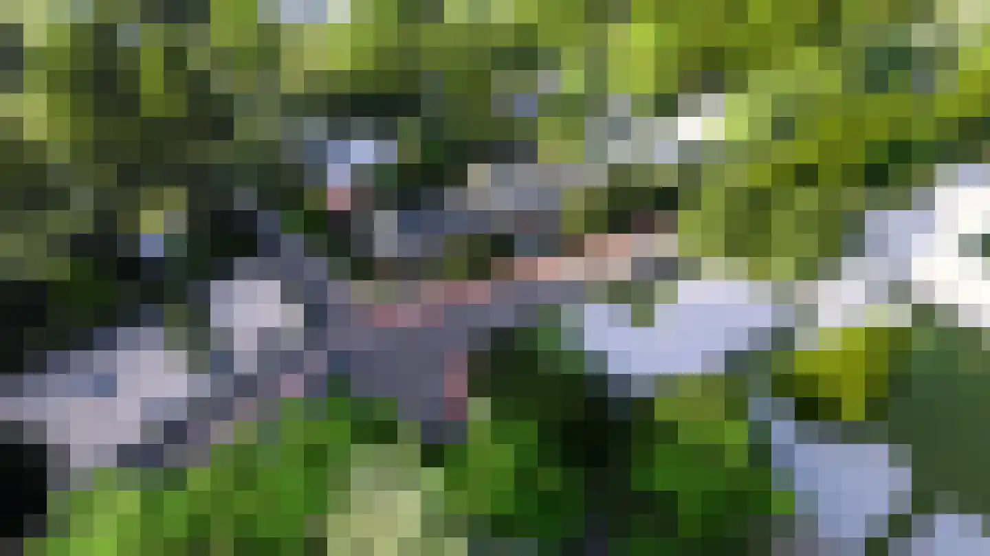 Tolakkerweg 3 Hollandsche Rading thumbnail 12