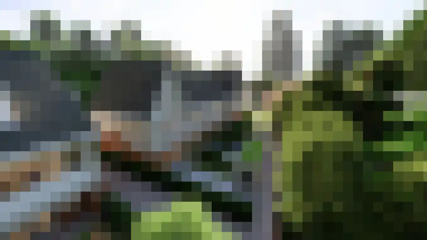 Tolakkerweg 3 Hollandsche Rading thumbnail 6