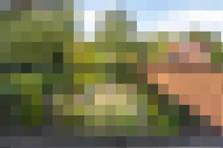 Tolakkerweg 34 Hollandsche Rading thumbnail 16