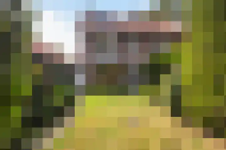 Tolakkerweg 34 Hollandsche Rading thumbnail 24