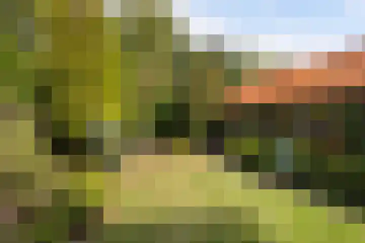Tolakkerweg 34 Hollandsche Rading thumbnail 25
