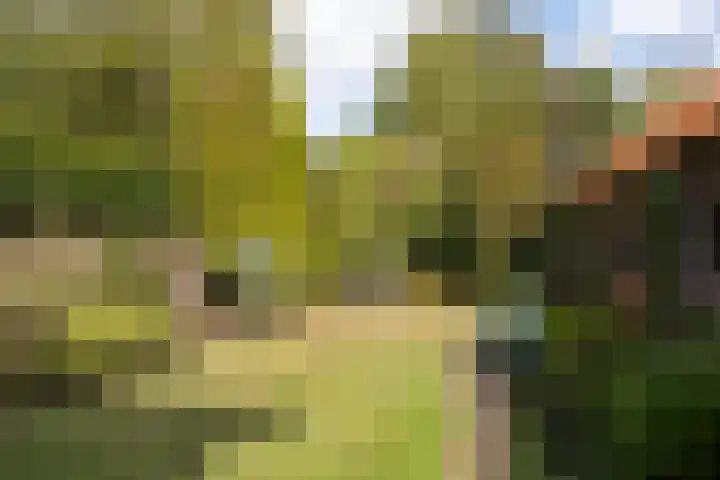 Tolakkerweg 34 Hollandsche Rading thumbnail 26