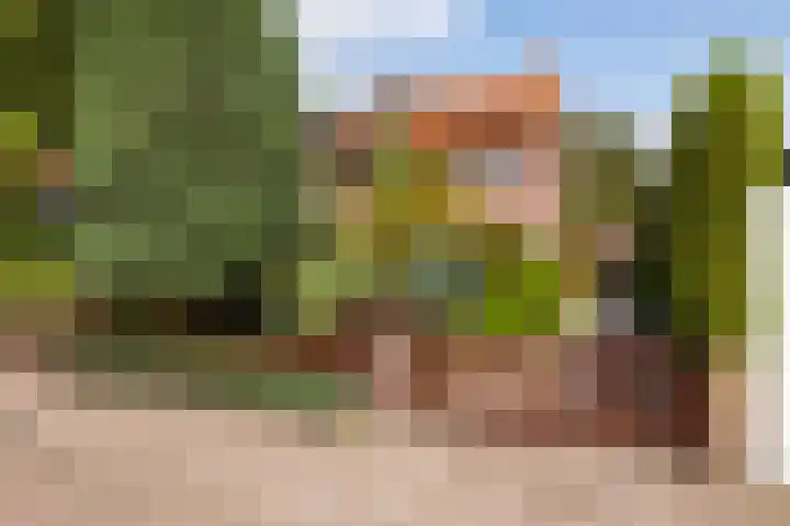 Tolakkerweg 34 Hollandsche Rading thumbnail 29