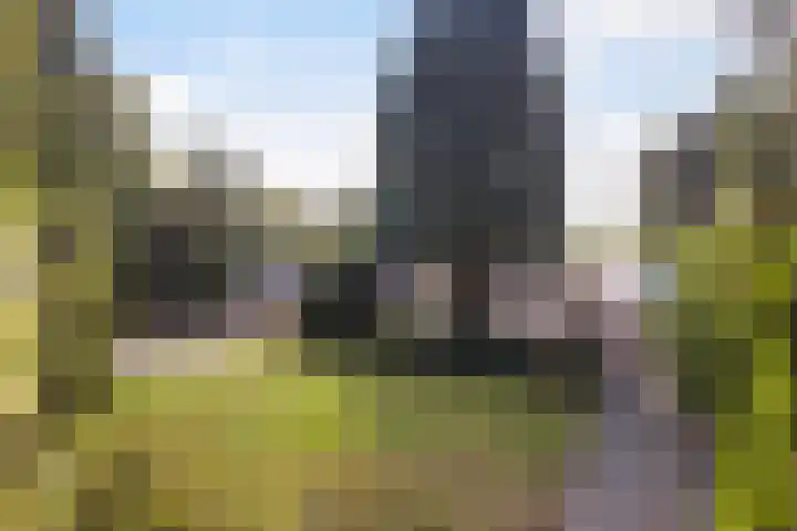 Tolakkerweg 34 Hollandsche Rading thumbnail 30