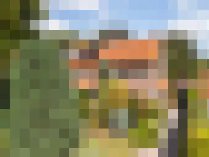 Tolakkerweg 34 Hollandsche Rading thumbnail 31