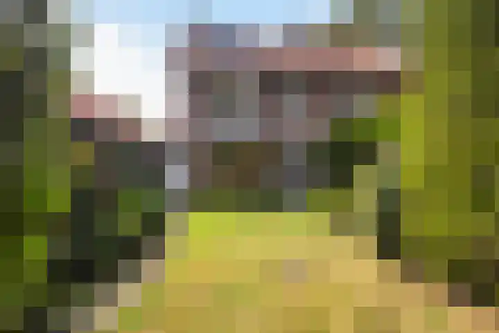 Tolakkerweg 34 Hollandsche Rading thumbnail 4