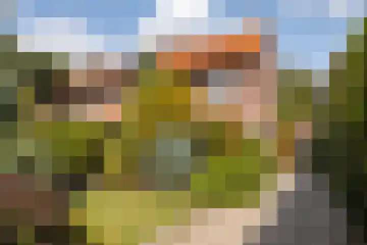 Tolakkerweg 34 Hollandsche Rading thumbnail 5