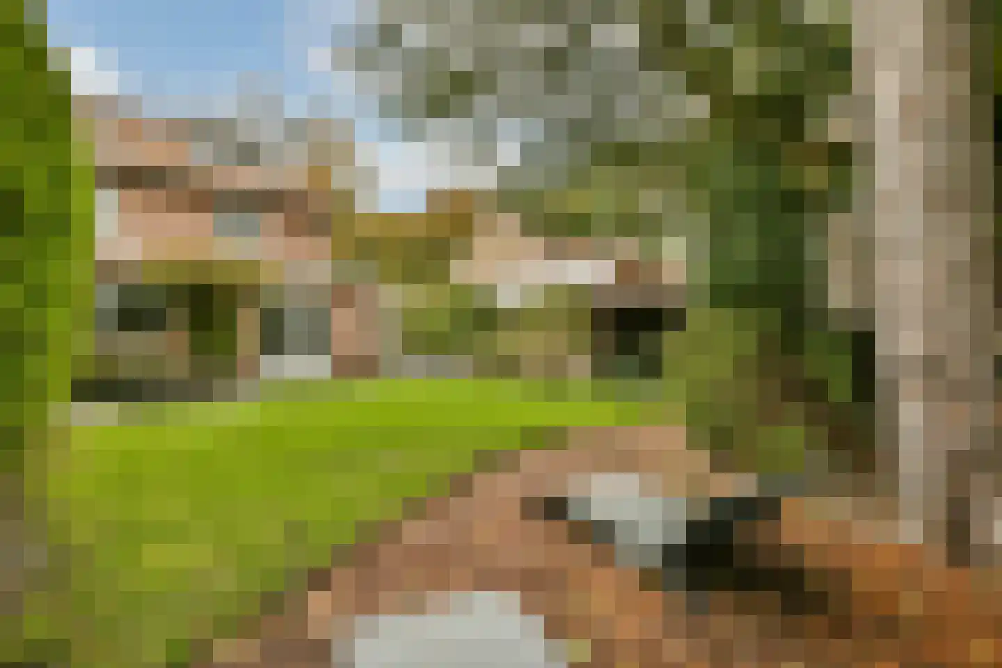 Tolakkerweg 36 Hollandsche Rading thumbnail 19