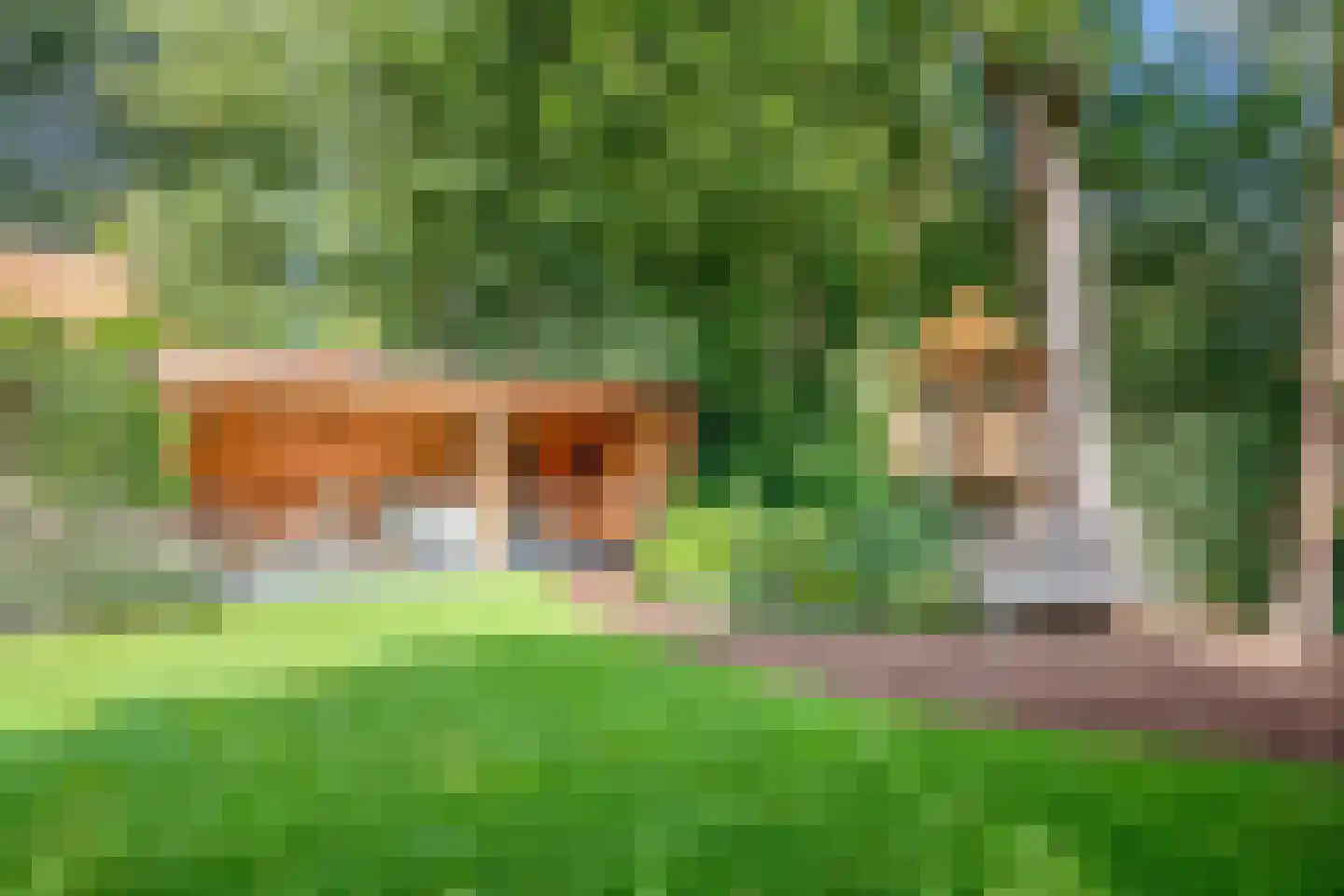 Tolakkerweg 36 Hollandsche Rading thumbnail 21