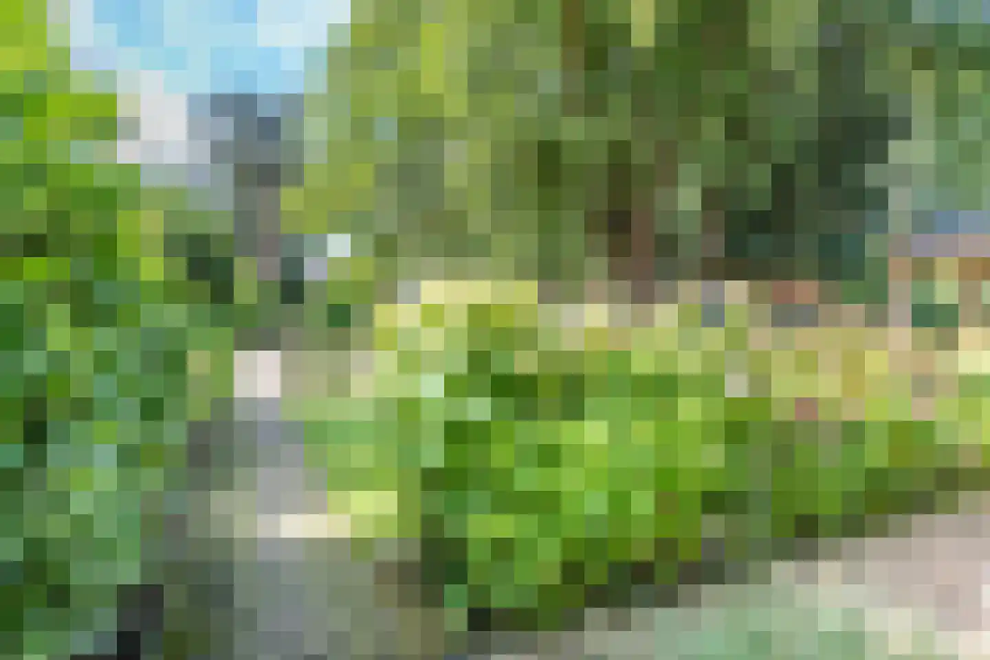Tolakkerweg 36 Hollandsche Rading thumbnail 28