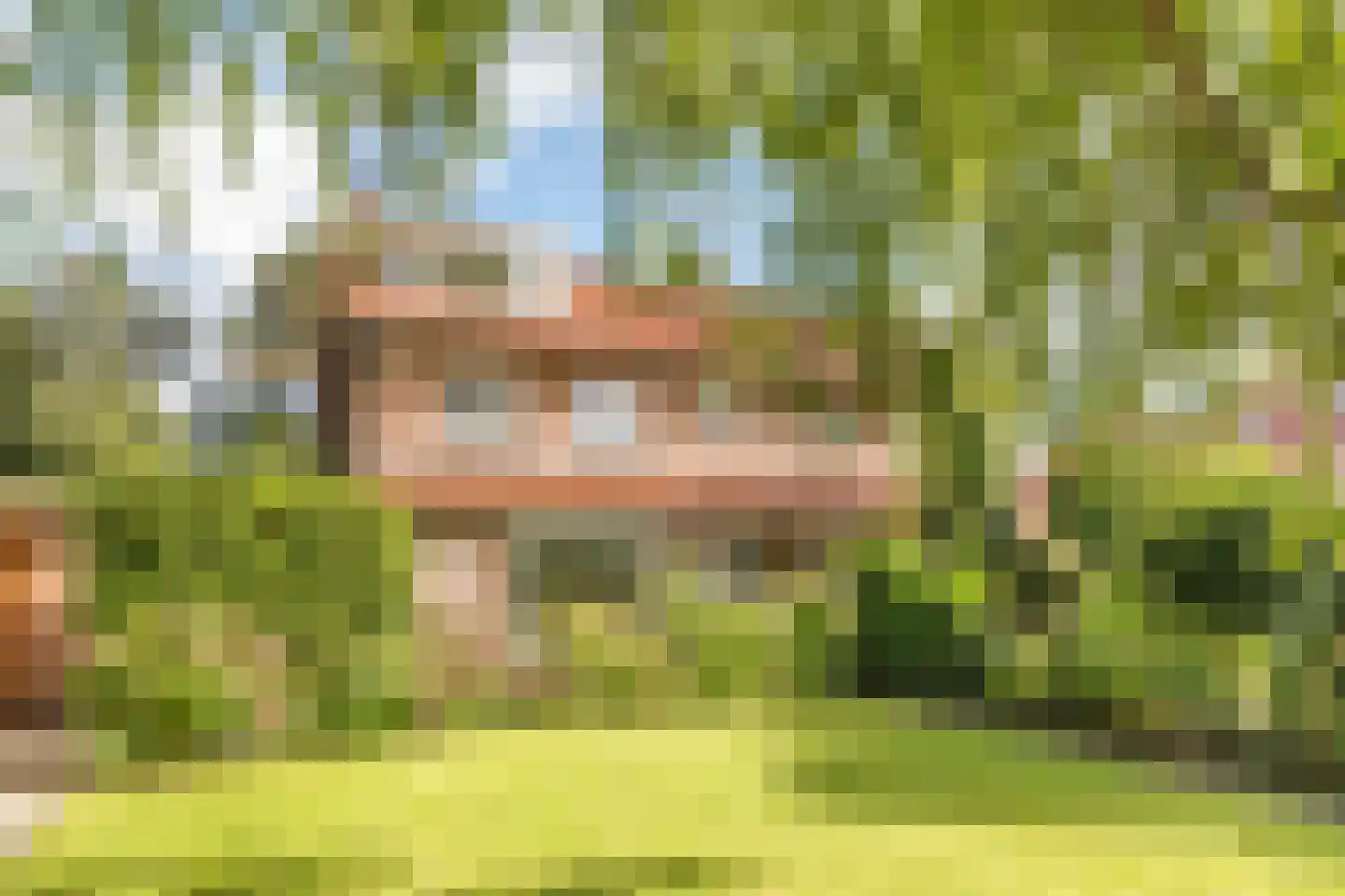 Tolakkerweg 36 Hollandsche Rading thumbnail 49