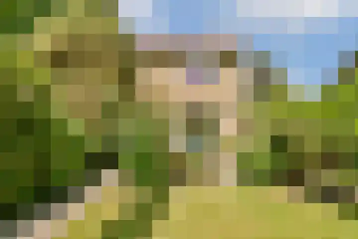 Tolakkerweg 38 Hollandsche Rading thumbnail 10