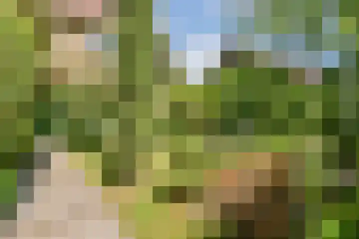 Tolakkerweg 38 Hollandsche Rading thumbnail 21
