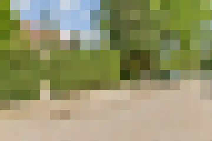 Tolakkerweg 38 Hollandsche Rading thumbnail 22