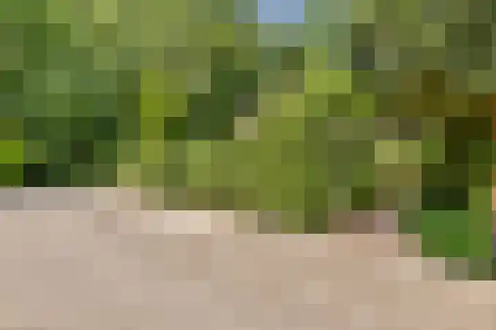 Tolakkerweg 38 Hollandsche Rading thumbnail 23