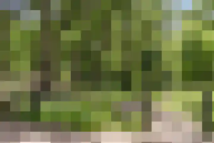 Tolakkerweg 38 Hollandsche Rading thumbnail 27