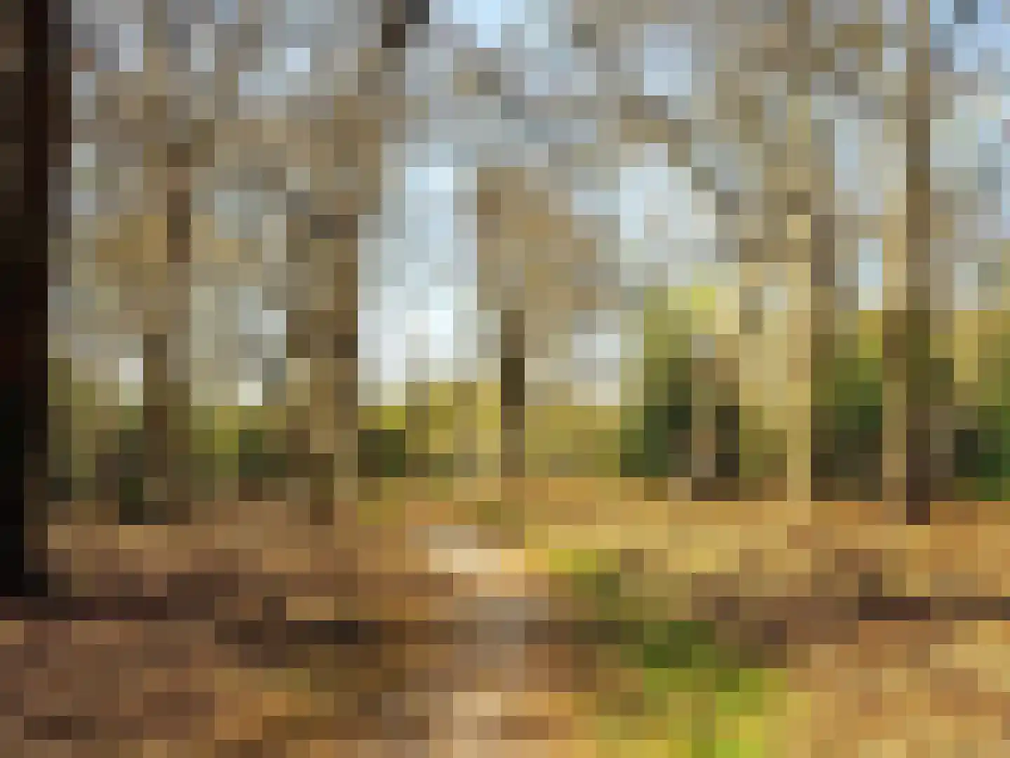 Tolakkerweg 7 Hollandsche Rading thumbnail 12