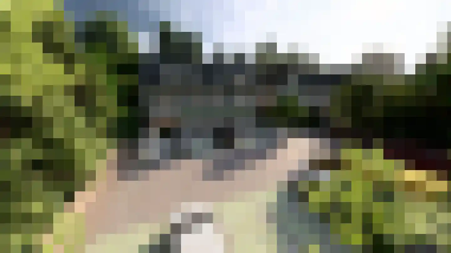 Tolakkerweg 7 Hollandsche Rading thumbnail 6
