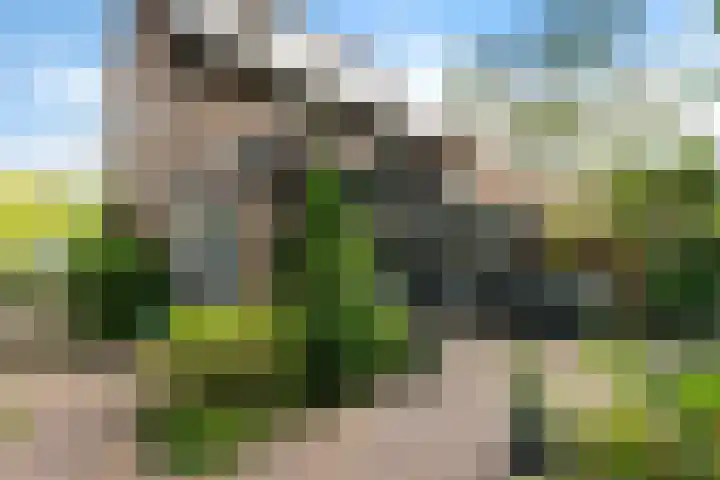 Tolakkerweg 70 Hollandsche Rading thumbnail 31