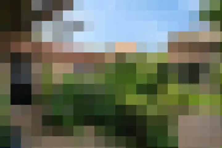 Tolakkerweg 70 Hollandsche Rading thumbnail 32