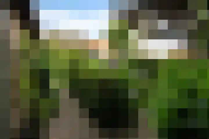 Tolakkerweg 70 Hollandsche Rading thumbnail 33