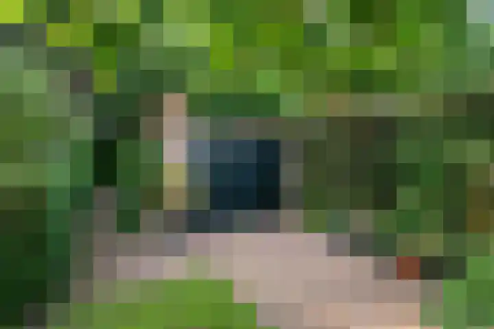 Tolakkerweg 70 Hollandsche Rading thumbnail 34