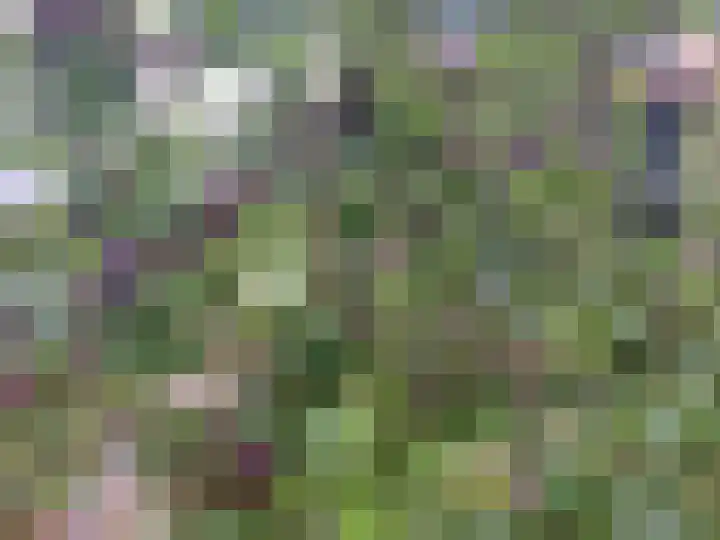 Tolakkerweg 70 Hollandsche Rading thumbnail 35