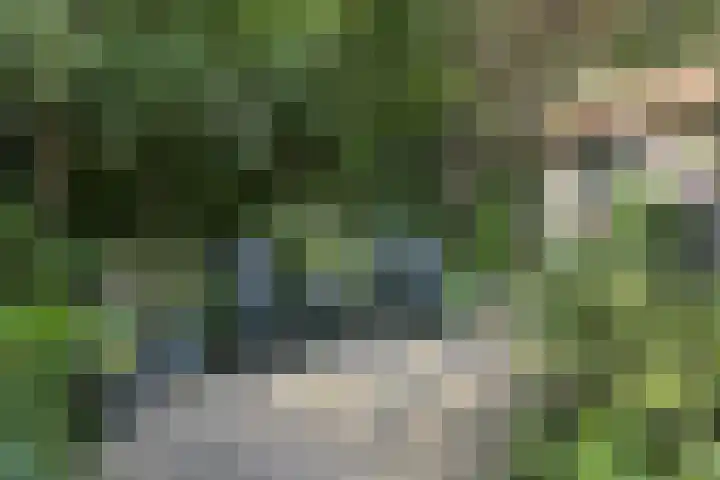 Tolakkerweg 70 Hollandsche Rading thumbnail 36
