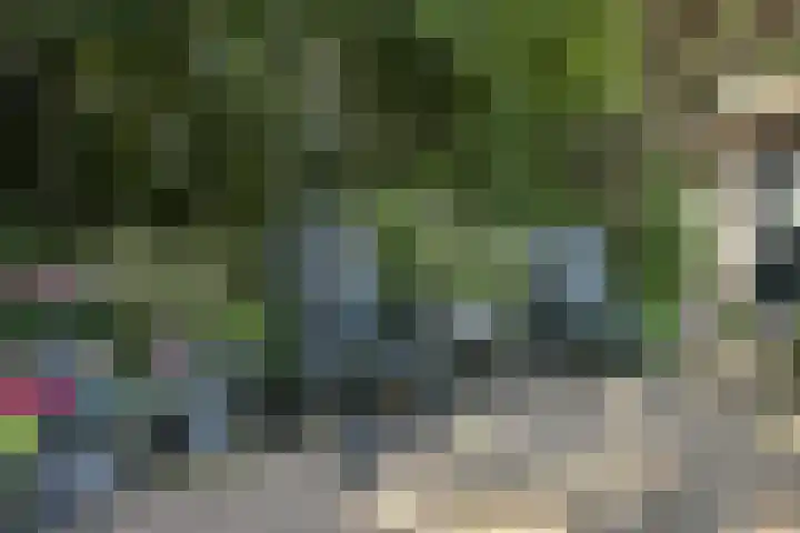 Tolakkerweg 70 Hollandsche Rading thumbnail 37