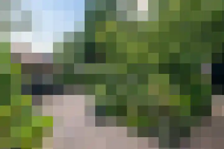 Tolakkerweg 70 Hollandsche Rading thumbnail 38