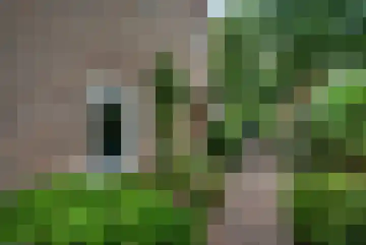 Tolakkerweg 70 Hollandsche Rading thumbnail 39