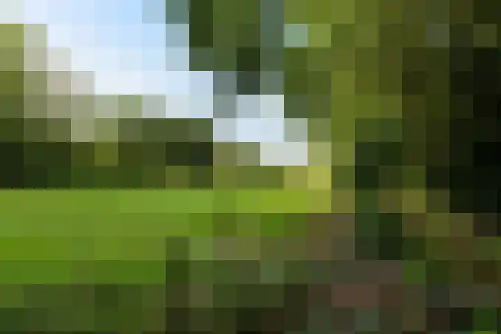 Tolakkerweg 70 Hollandsche Rading thumbnail 40