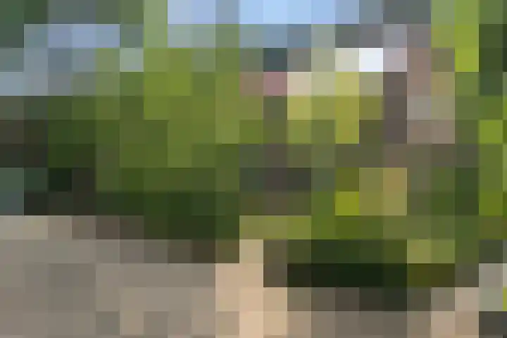 Tolakkerweg 70 Hollandsche Rading thumbnail 41
