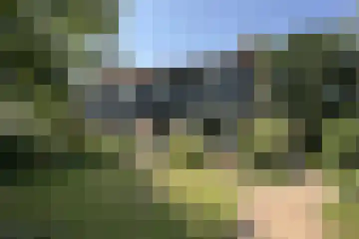 Tolakkerweg 70 Hollandsche Rading thumbnail 5