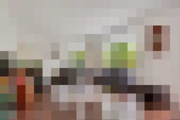 Tolakkerweg 70 Hollandsche Rading thumbnail 7