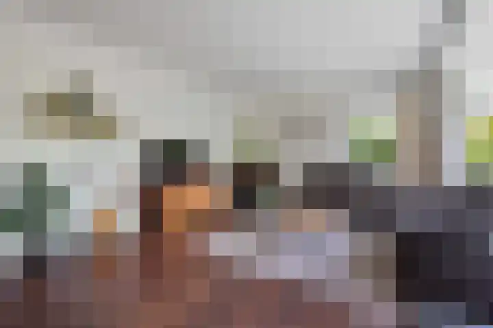 Tolakkerweg 70 Hollandsche Rading thumbnail 8