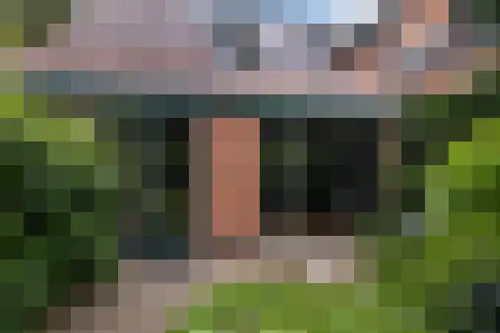 Tolakkerweg 75 Hollandsche Rading thumbnail 35