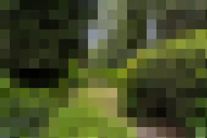 Tolakkerweg 75 Hollandsche Rading thumbnail 36