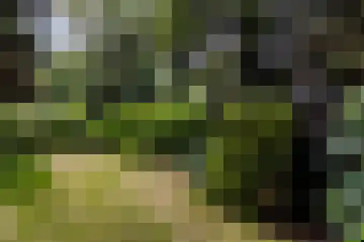 Tolakkerweg 75 Hollandsche Rading thumbnail 37