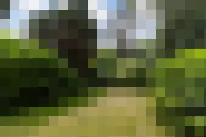 Tolakkerweg 75 Hollandsche Rading thumbnail 38