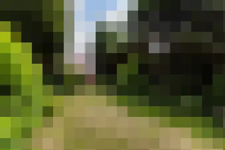Tolakkerweg 75 Hollandsche Rading thumbnail 39