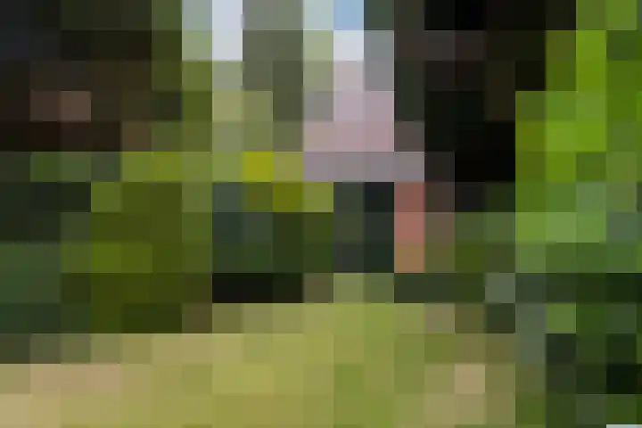 Tolakkerweg 75 Hollandsche Rading thumbnail 40