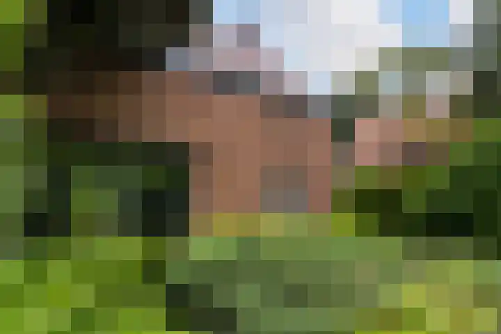 Tolakkerweg 75 Hollandsche Rading thumbnail 41