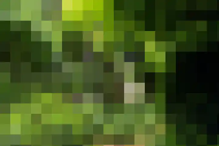 Tolakkerweg 75 Hollandsche Rading thumbnail 42