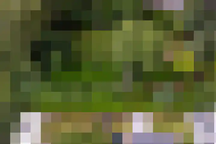 Tolakkerweg 75 Hollandsche Rading thumbnail 43