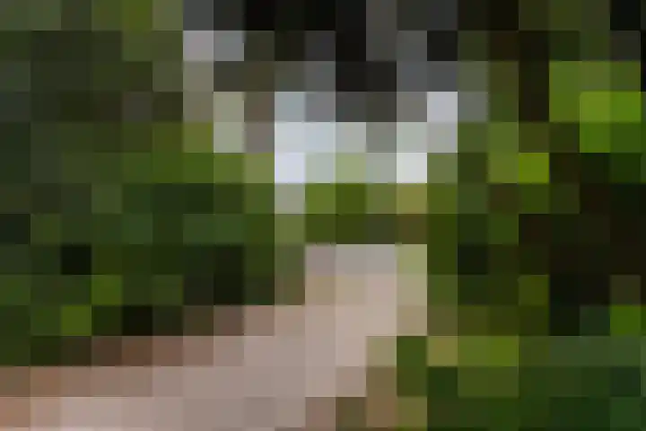 Tolakkerweg 75 Hollandsche Rading thumbnail 44