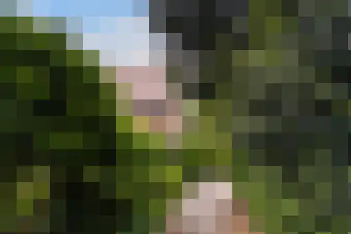 Tolakkerweg 75 Hollandsche Rading thumbnail 45