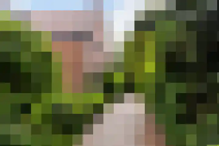 Tolakkerweg 75 Hollandsche Rading thumbnail 46