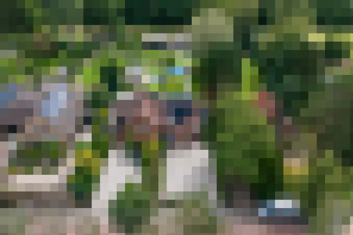 Tolakkerweg 75 Hollandsche Rading thumbnail 76