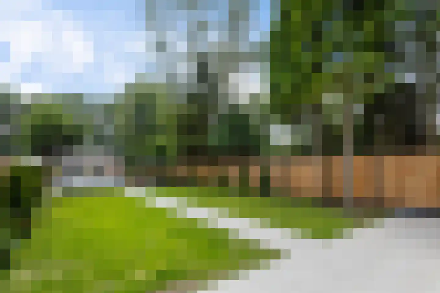 Tolakkerweg 75 Hollandsche Rading thumbnail 79